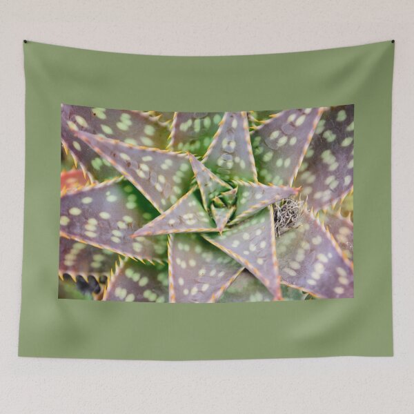 Item preview, Tropical succulent from Ecuador designed and sold by raymona pooler.