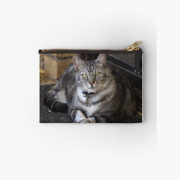 Item preview, Loki Enjoying a Warm Spot. designed and sold by Sandra Chung.