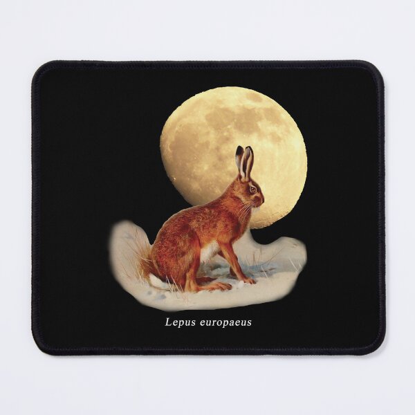 Item preview, OBV – Liêvre - lepus europaeus designed and sold by vb66.
