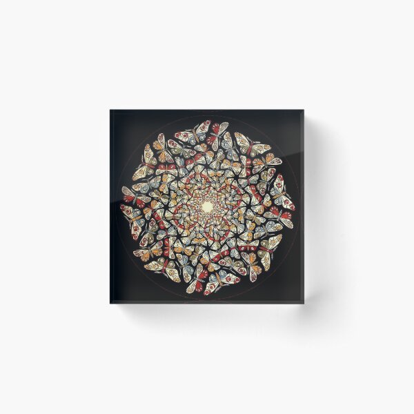 Circle Limit with Butterflies, by M.C. Escher Acrylic Block