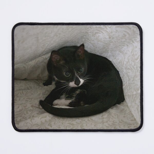 Item preview, Curled up tuxedo cat. designed and sold by imyournightmare.