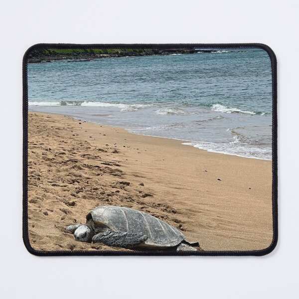 Item preview, turtle arriving on beach to lay eggs designed and sold by ydsdesigns.