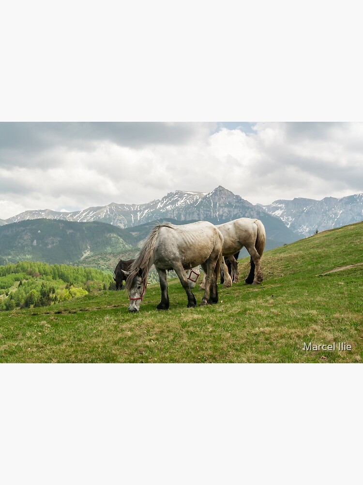 Keep grazing by imaruseru