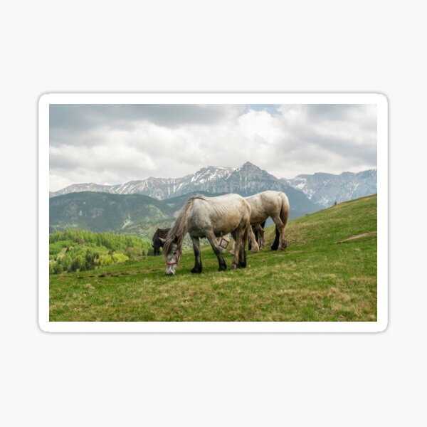 Keep grazing Sticker
