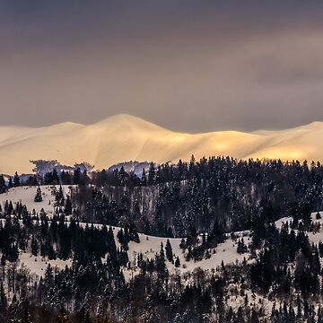Artwork thumbnail, carpathians on golden winter sunrise by mike-pellinni
