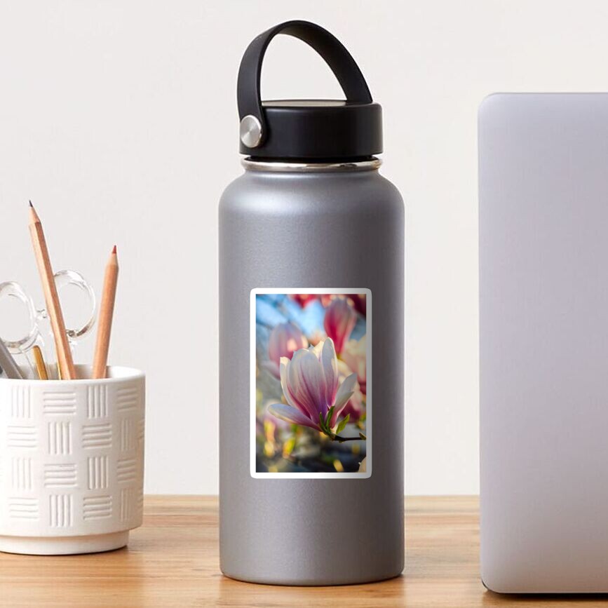 magnolia flowers on a blurry background Sticker