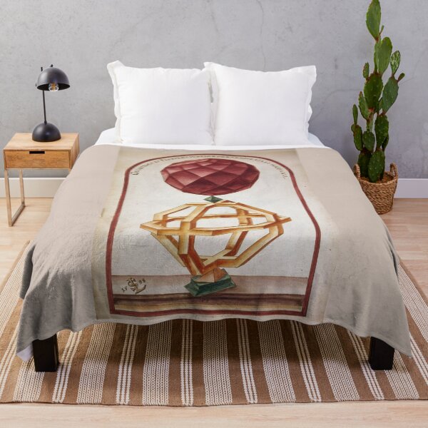 Item preview, Antique art by Lorenz Ster - Geometria et Perspectiva Plate  Polyhedra and other solid-geometric figures designed and sold by TeeARTHY.