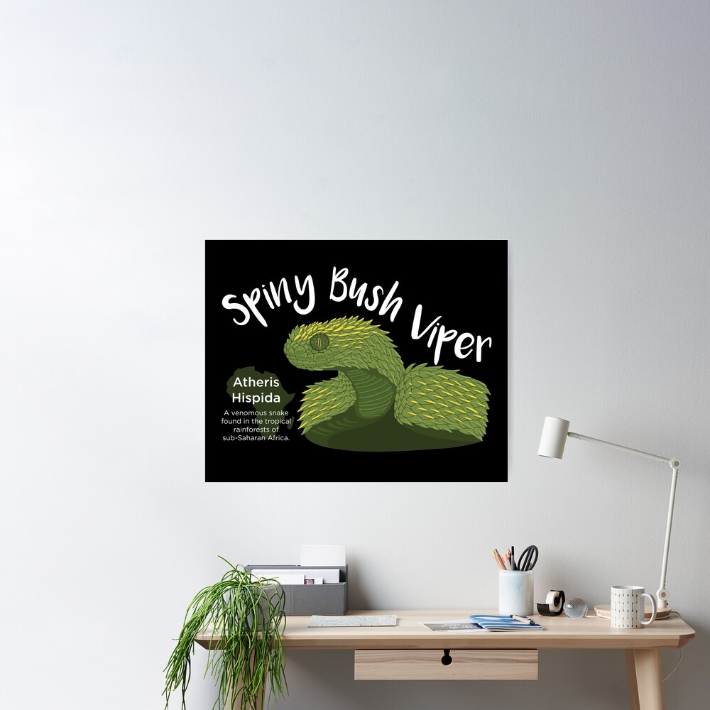 Spiny Bush Viper Poster for Sale by Influnecedby