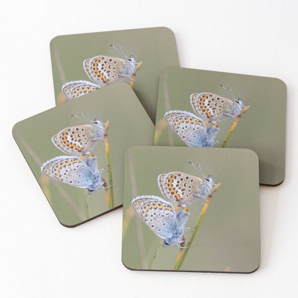 Item preview, Silver Studded Blue designed and sold by LaurenTucker.