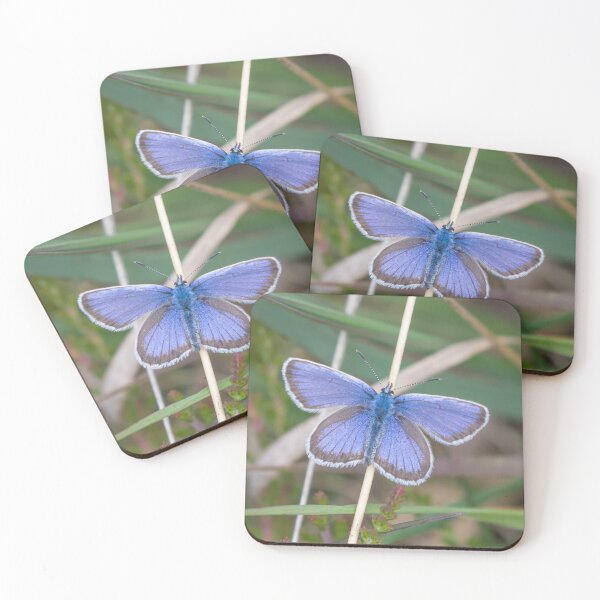 Item preview, Silver Studded Blue designed and sold by LaurenTucker.