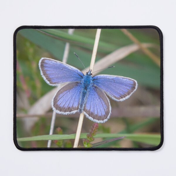 Item preview, Silver Studded Blue designed and sold by LaurenTucker.
