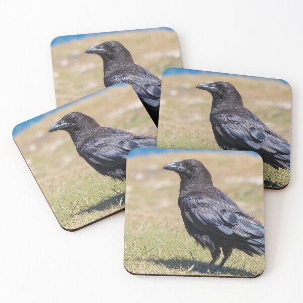 Item preview, Raven designed and sold by LaurenTucker.
