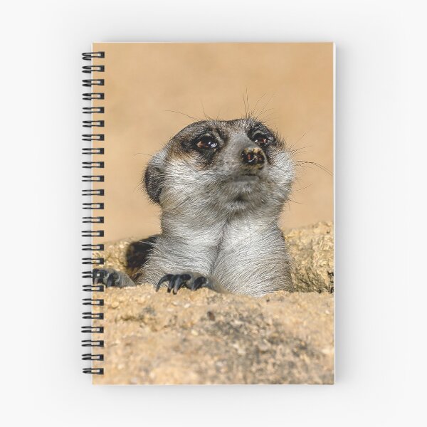 Item preview, Meerkat Surveillance designed and sold by sandraanderson.