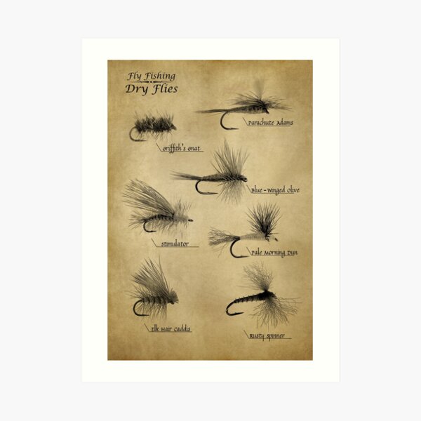 Fly Fishing Dry Flies Art Print for Sale by boothilldesigns