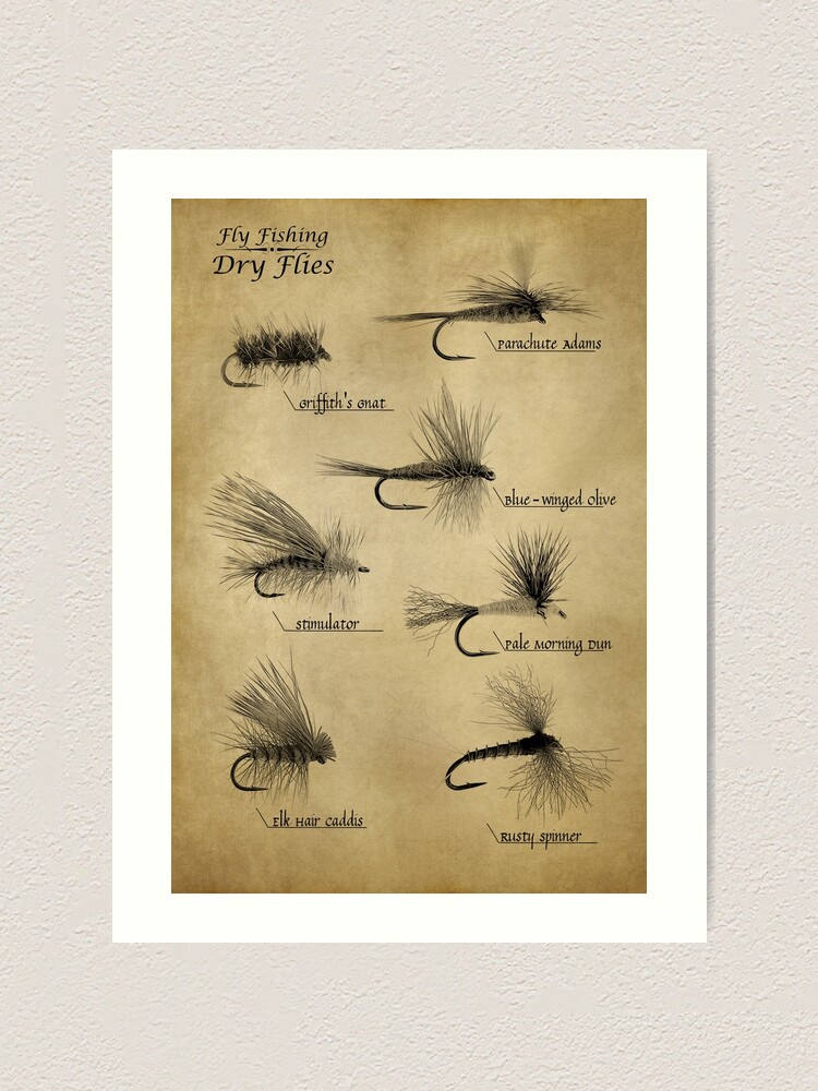 Fly Fishing Dry Flies | Art Print