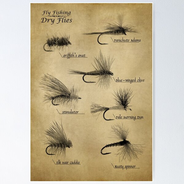 Fly Fishing Art Board Print for Sale by PixelApx