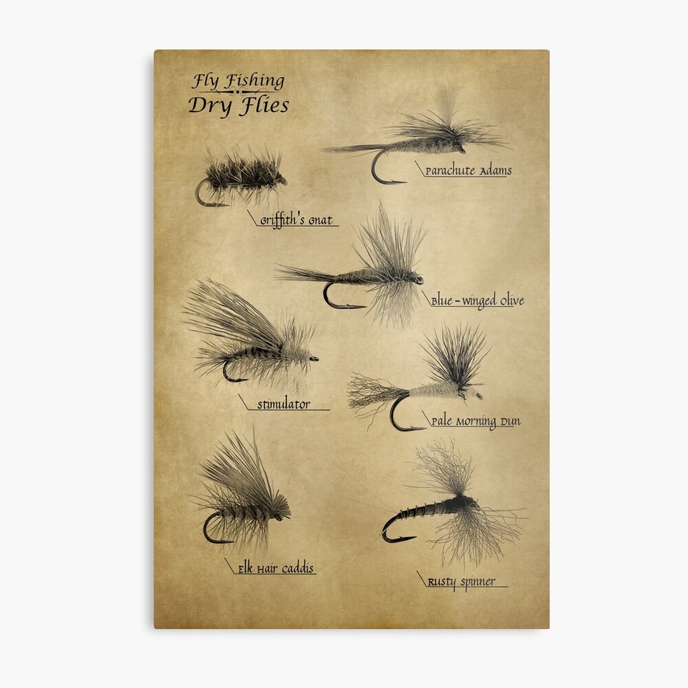  Gnosis Picture Archive Fly Fishing Decor Set of 6