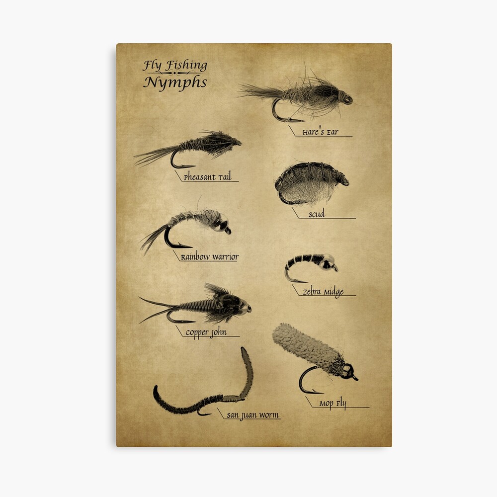 Fly Fishing Nymphs Art Print for Sale by boothilldesigns
