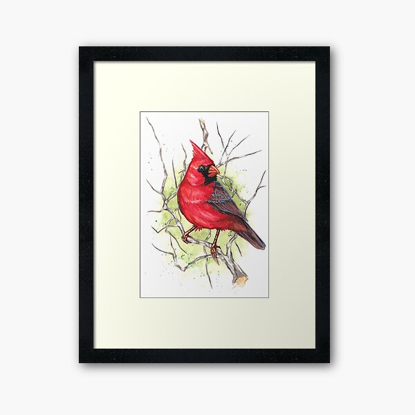 Northern Cardinal Framed Art Print