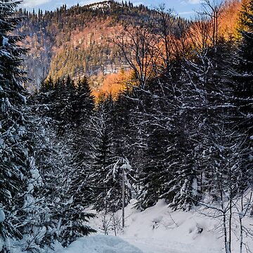 Artwork thumbnail, snowy road through spruce forest by mike-pellinni