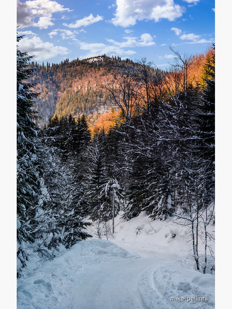 Thumbnail 3 of 3, Sticker, snowy road through spruce forest designed and sold by mike-pellinni.