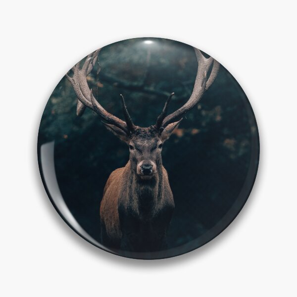 Item preview, Deer in the evening light designed and sold by wolfgangrainer.