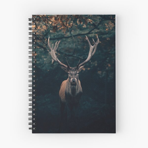 Item preview, Deer in the evening light designed and sold by wolfgangrainer.