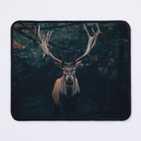Item preview, Deer in the evening light designed and sold by wolfgangrainer.