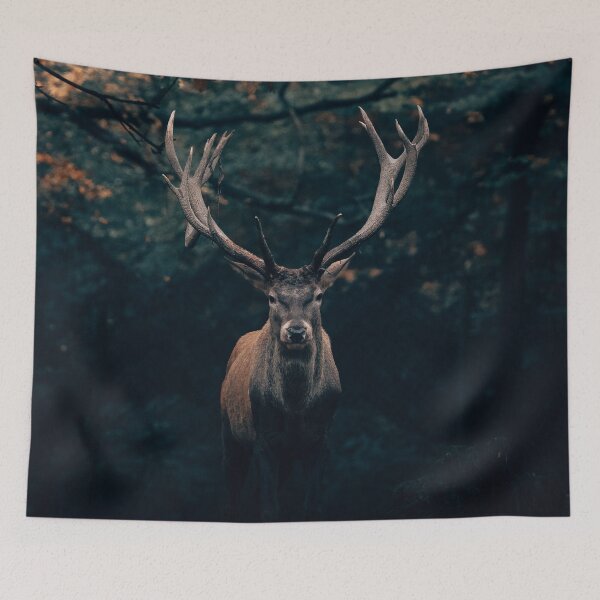 Item preview, Deer in the evening light designed and sold by wolfgangrainer.