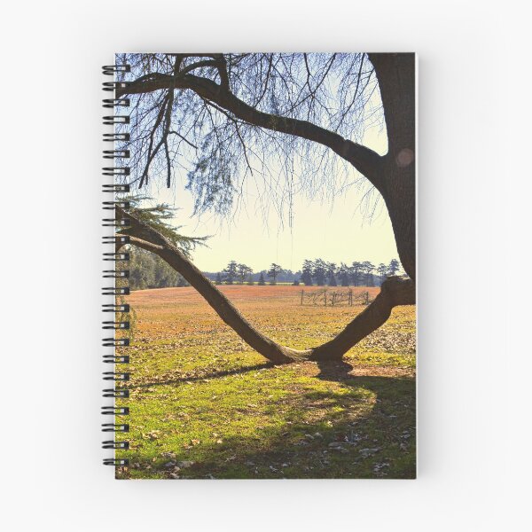 Item preview, Roller Coaster Tree Branch designed and sold by LisaWootenPhoto.