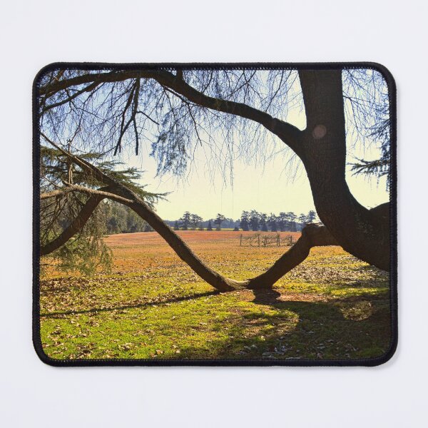 Item preview, Roller Coaster Tree Branch designed and sold by LisaWootenPhoto.