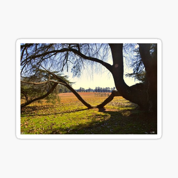 Item preview, Roller Coaster Tree Branch designed and sold by LisaWootenPhoto.