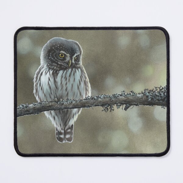 Item preview, Pygmy owl designed and sold by LucaMilioneArt.