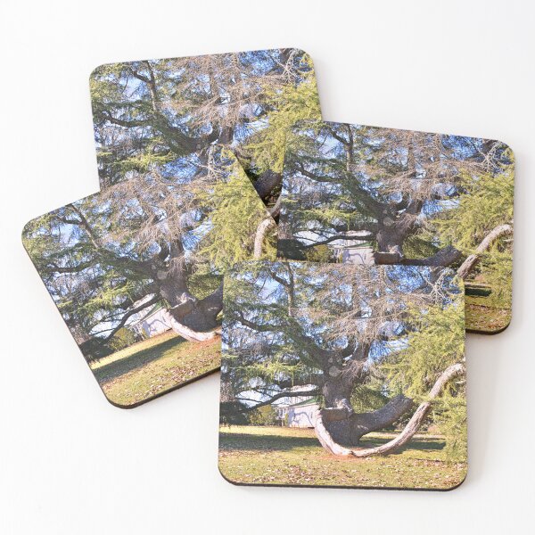 Item preview, Redcliffe Plantation Historic Site Tree designed and sold by LisaWootenPhoto.