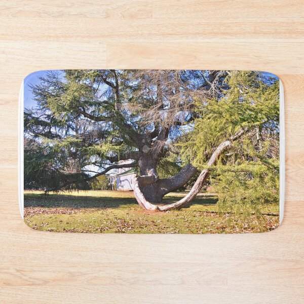 Item preview, Redcliffe Plantation Historic Site Tree designed and sold by LisaWootenPhoto.