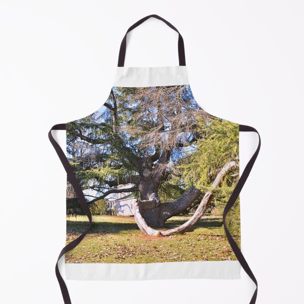 Item preview, Redcliffe Plantation Historic Site Tree designed and sold by LisaWootenPhoto.