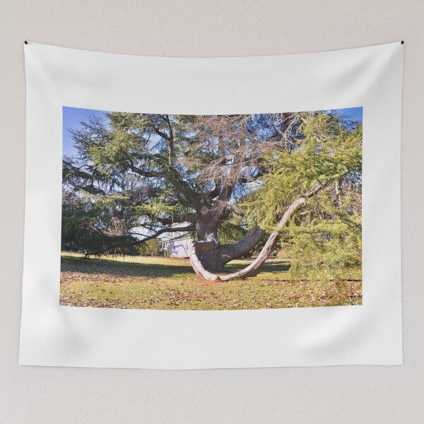 Item preview, Redcliffe Plantation Historic Site Tree designed and sold by LisaWootenPhoto.