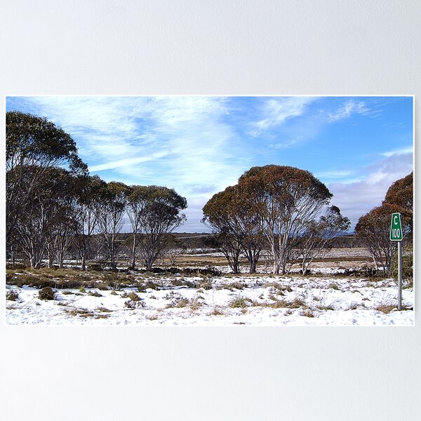 Item preview, Cooma 100 - Snowy Mountains National Park,NSW Australia designed and sold by Salieri1627.