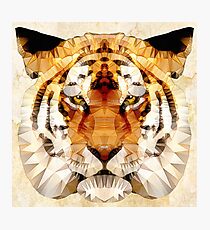 abstract tiger Photographic Print
