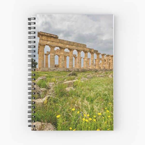 Item preview, Temple E Selinunte Sicily designed and sold by PhotoArt by Joan Carroll.