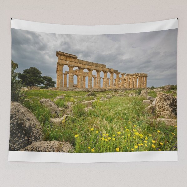 Item preview, Temple E Selinunte Sicily designed and sold by PhotoArt by Joan Carroll.