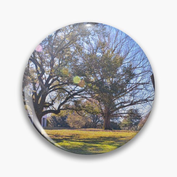 Item preview, Redcliffe Plantation And Barn Historic Site South Carolina designed and sold by LisaWootenPhoto.