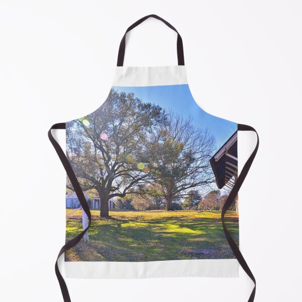 Item preview, Redcliffe Plantation And Barn Historic Site South Carolina designed and sold by LisaWootenPhoto.