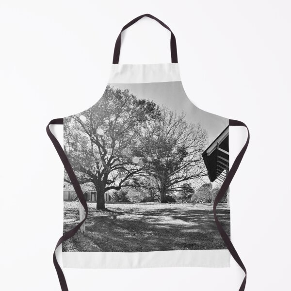 Item preview, Redcliffe Plantation And Barn Historic Site South Carolina Black And White designed and sold by LisaWootenPhoto.