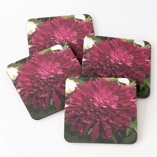 Item preview, Crysanthemums designed and sold by KVDcreations.