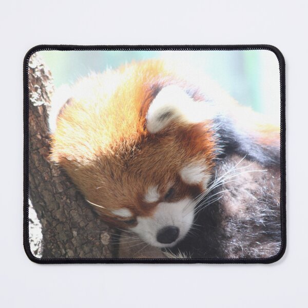 Item preview, The Red Panda designed and sold by Olivia Plasencia.
