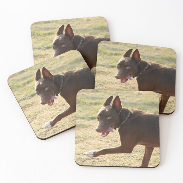 Item preview, Tag! designed and sold by Olivia Plasencia.