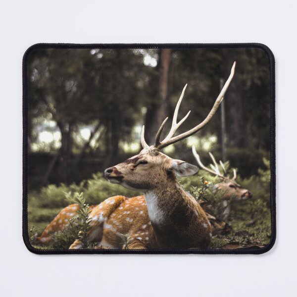 Item preview, deer in the forest designed and sold by wolfgangrainer.
