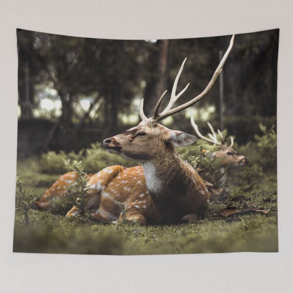 Item preview, deer in the forest designed and sold by wolfgangrainer.