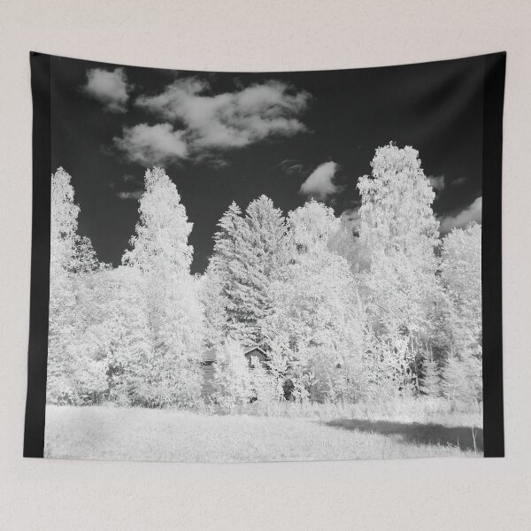 Item preview, Between the trees it's hiding. Infrared bw photography designed and sold by Jouko Lehto Photography.
